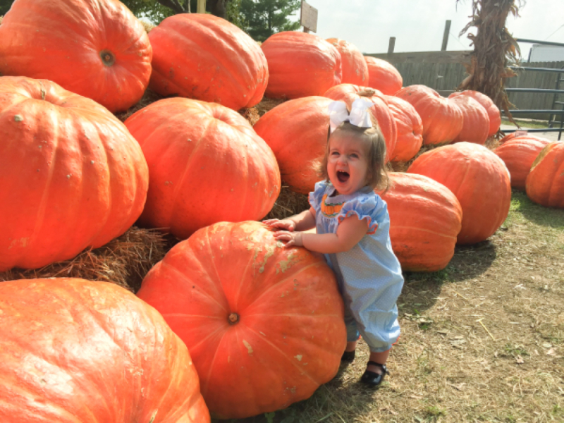 Fall Agritourism