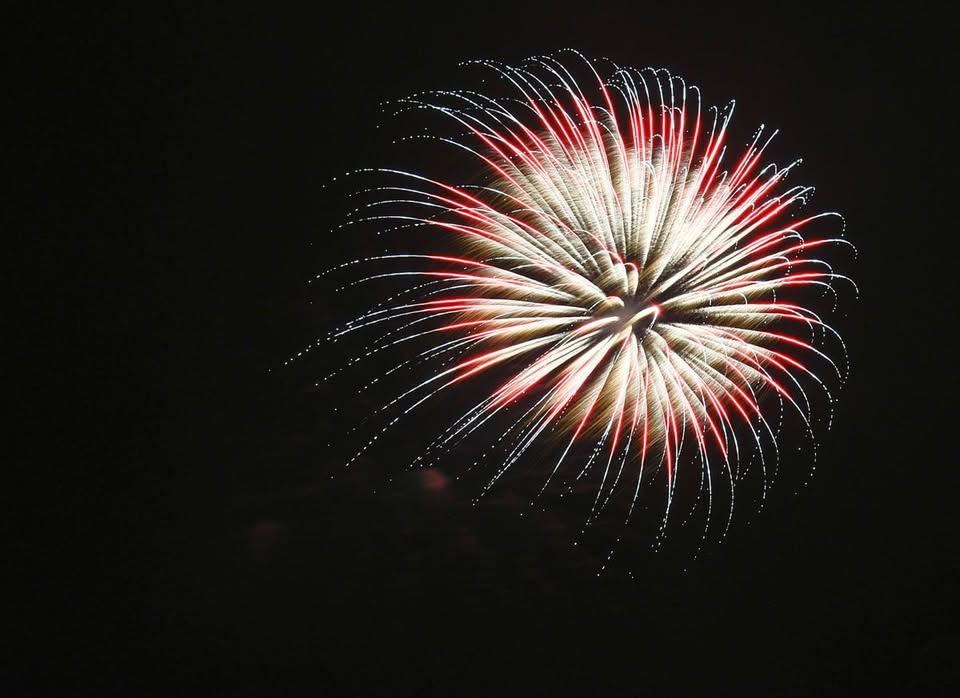 Homestead Vineyards Freedom Celebration
