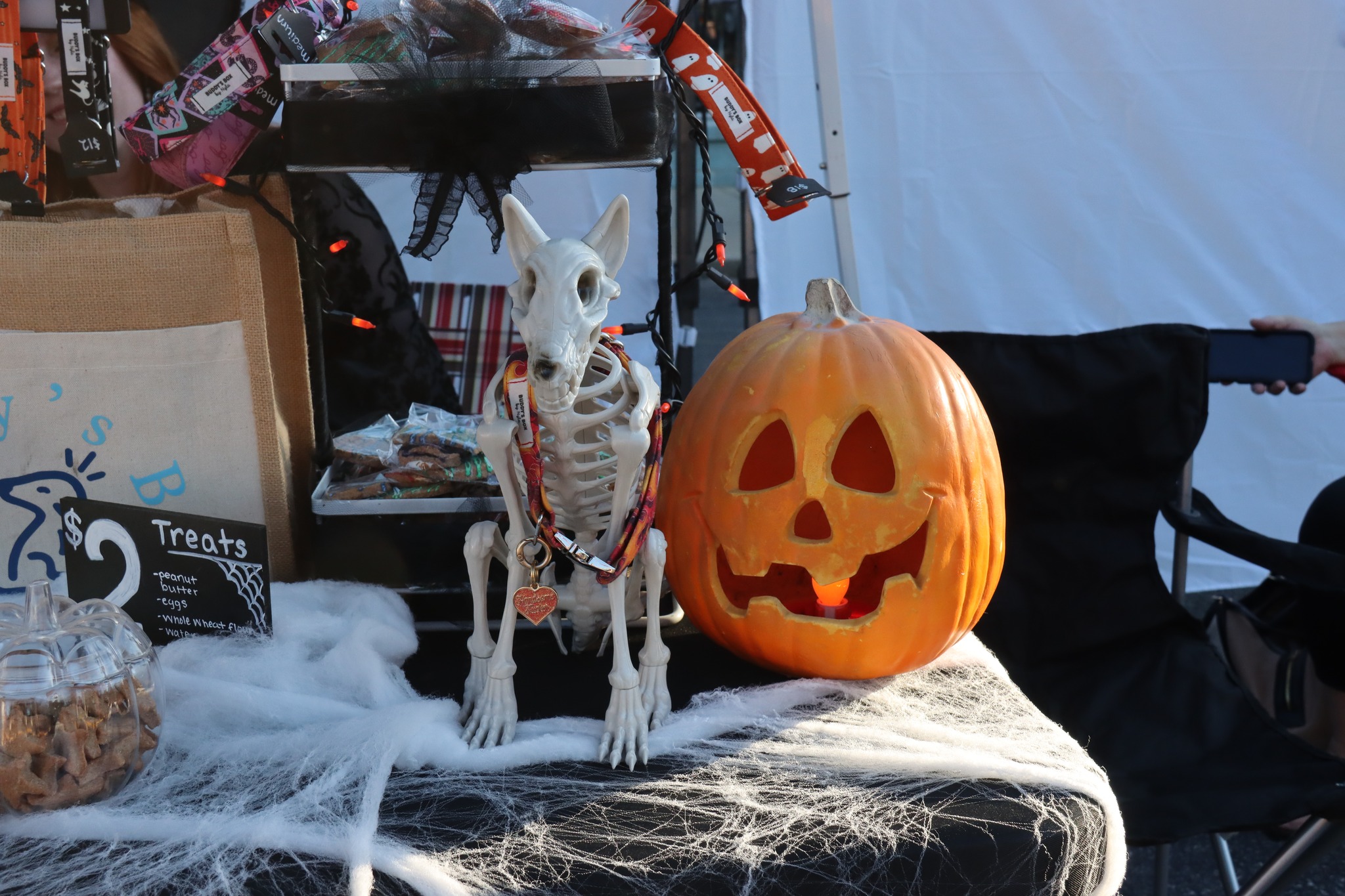 District Frights