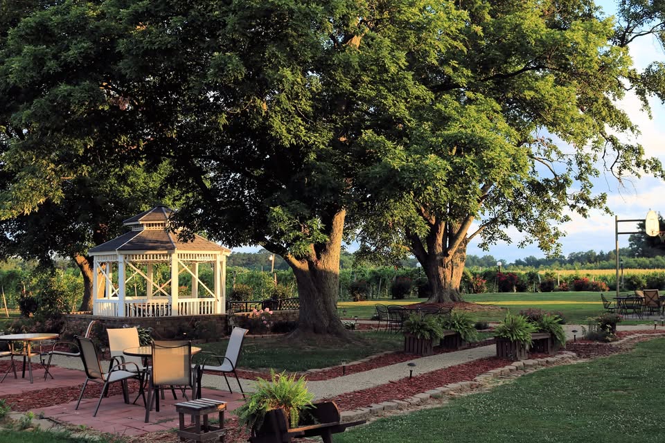 Homestead Vineyards Freedom Celebration