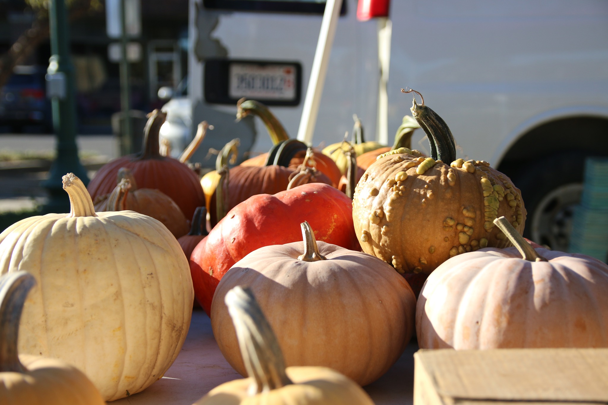 Vine Street Market Harvest Festival