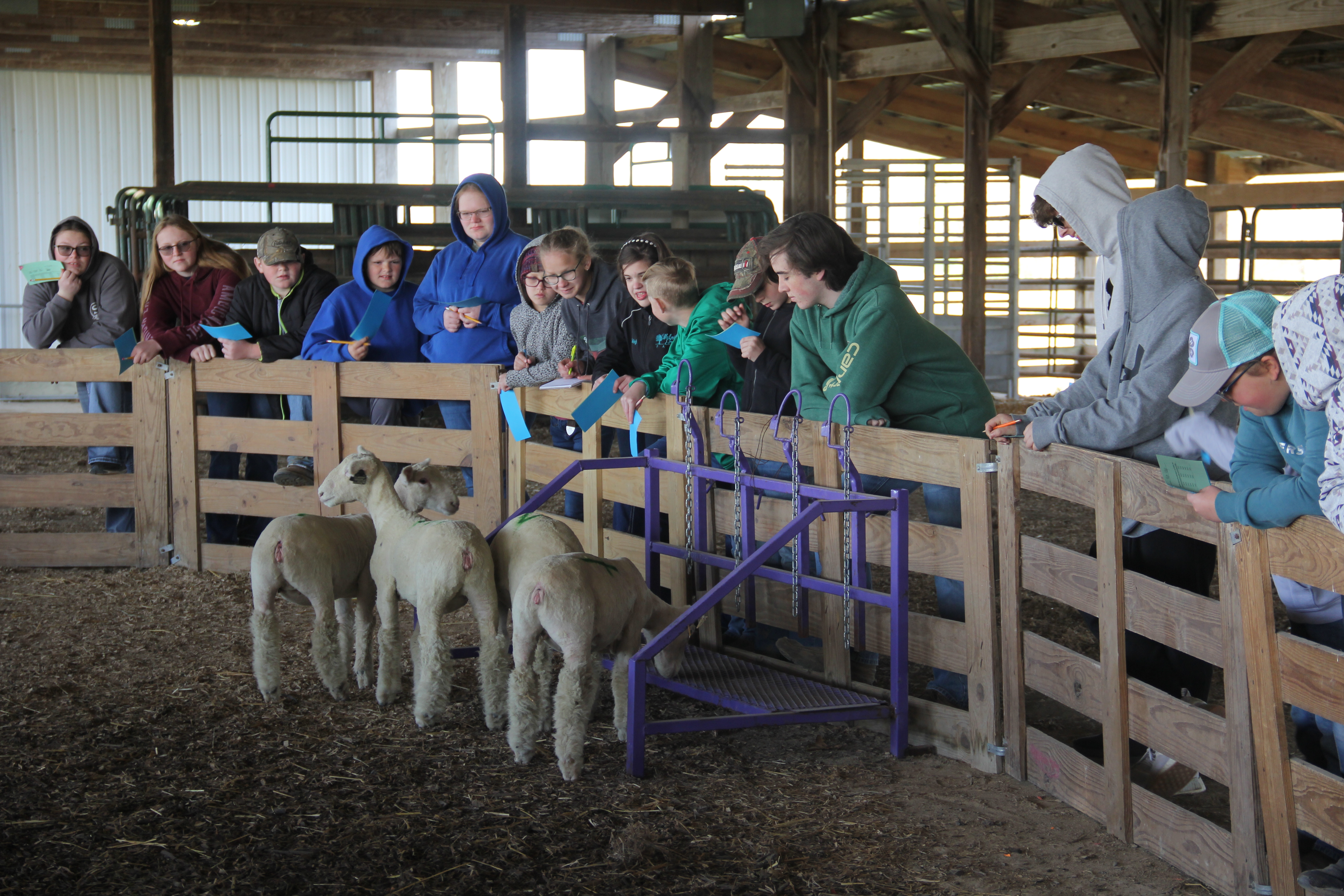 39th Annual Southern Illinois Sheep & Craft Festival