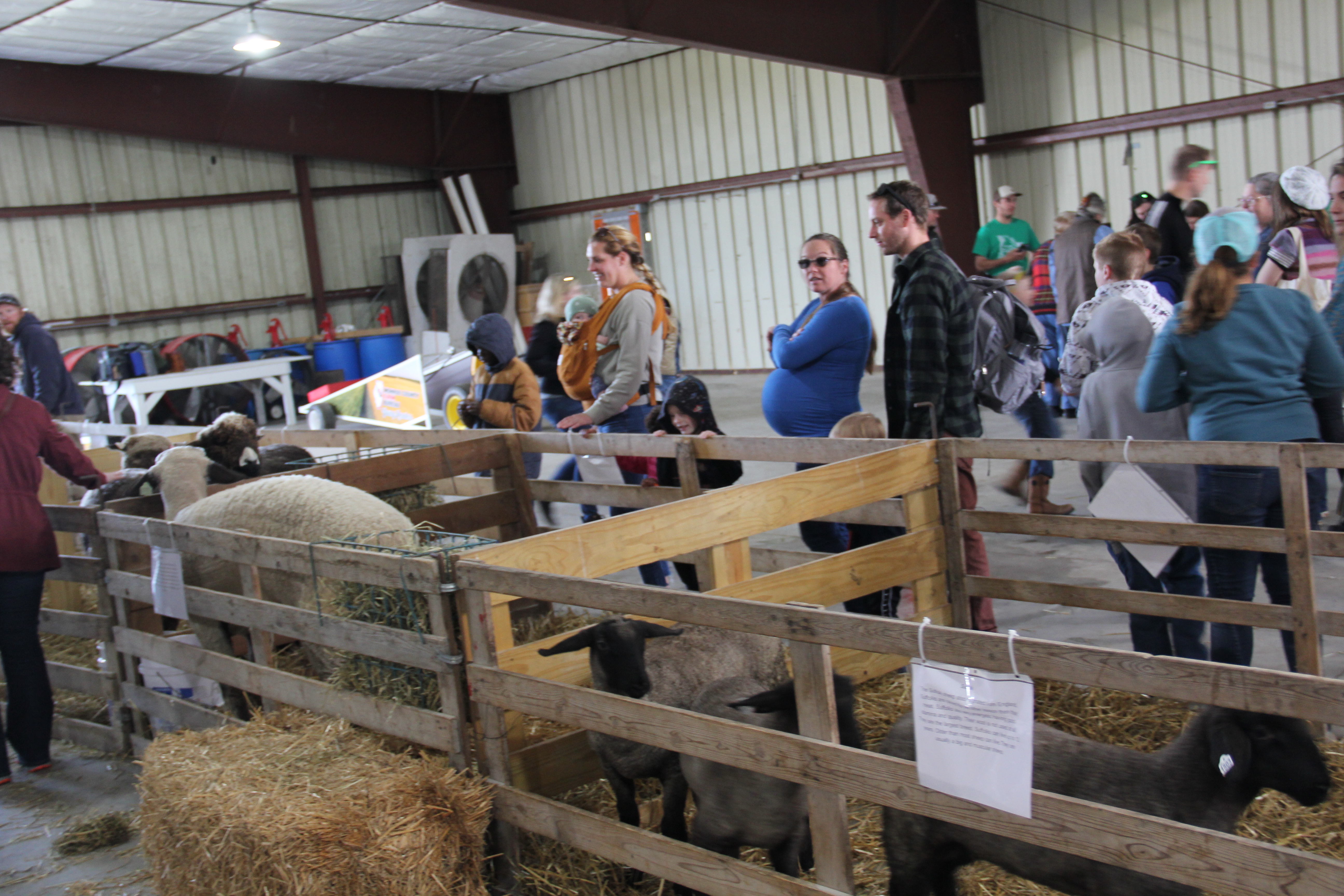 39th Annual Southern Illinois Sheep & Craft Festival