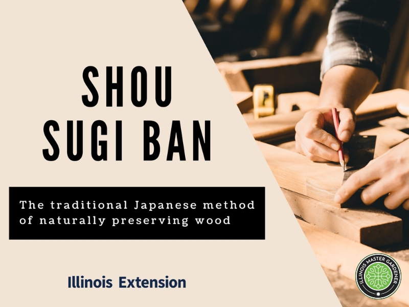 Shou Sugi Ban - Japanese Wood Preservation Demonstration