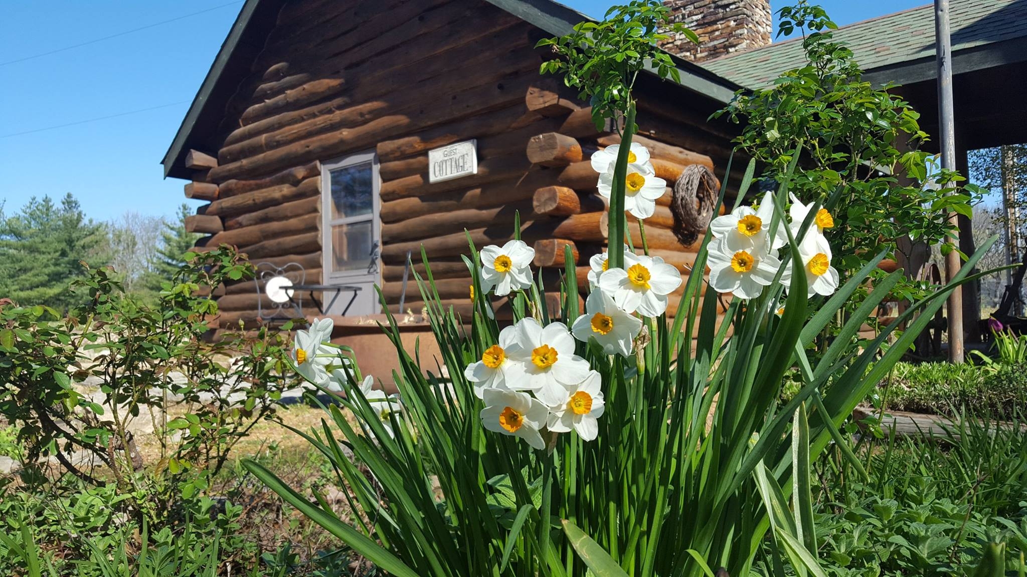 Westerfield Cabins