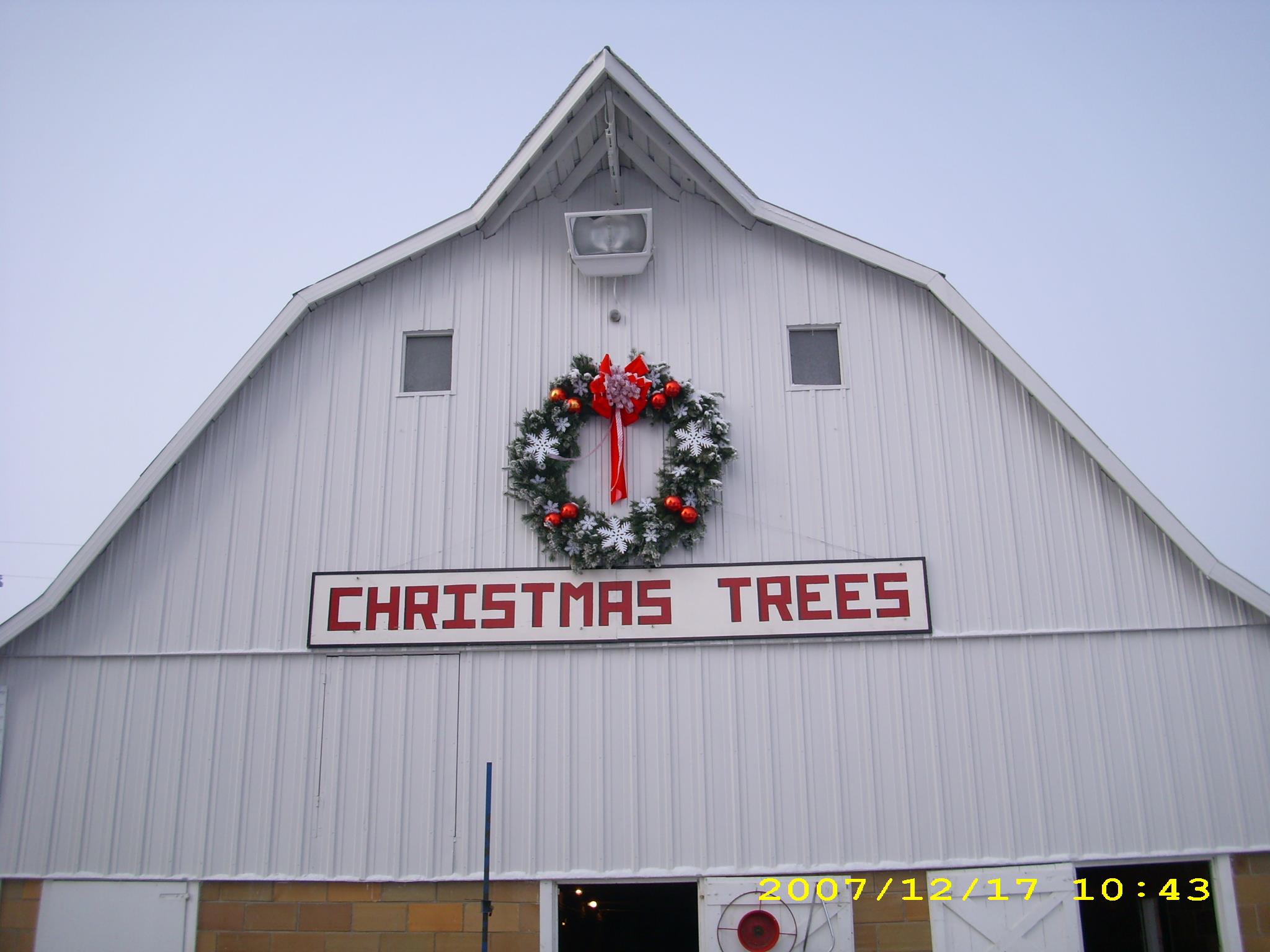 Daniken Tree Farm