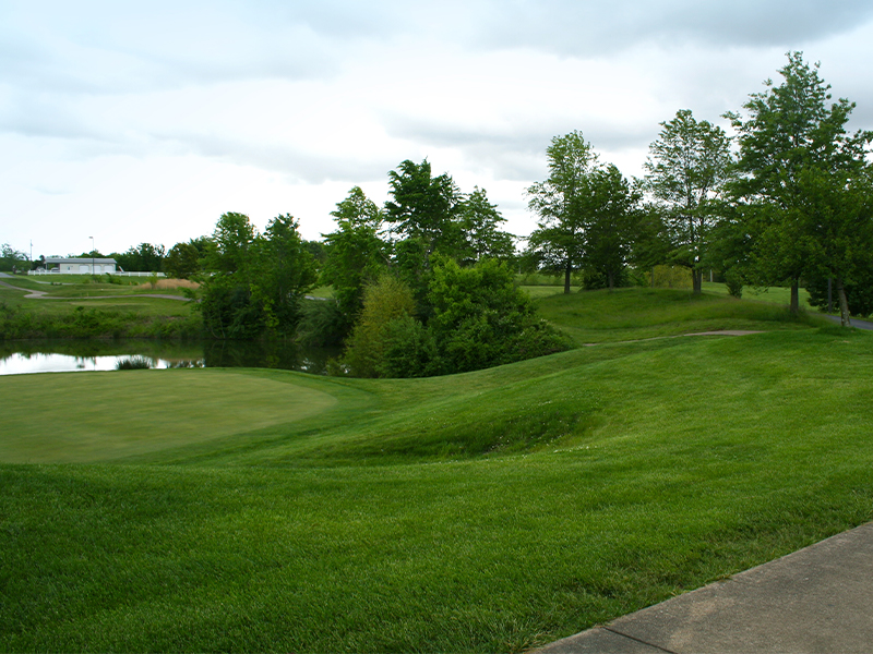 Acorns Golf Links