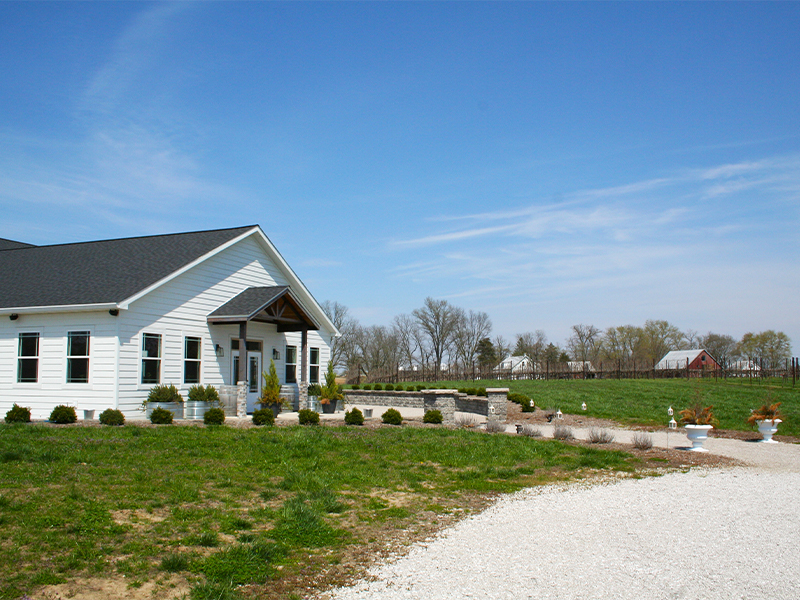 The Pour Vineyard