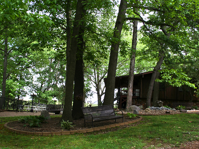 Schorr Lake Vineyards