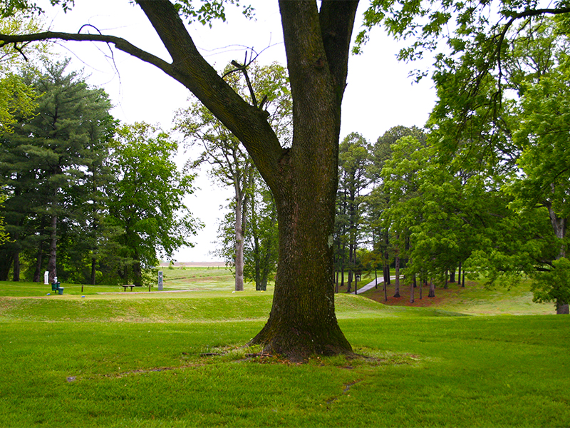 White Oak Golf Course