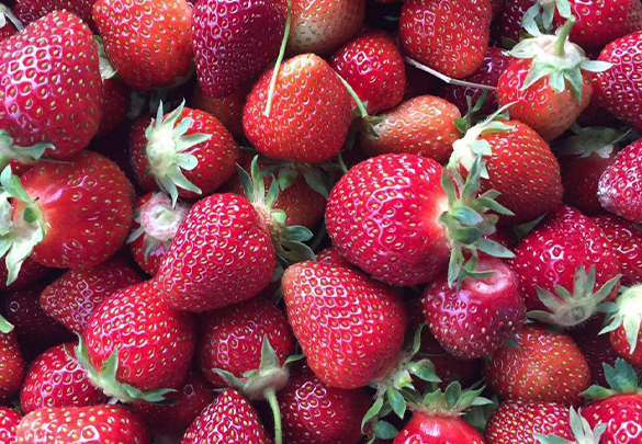 Bigard's Strawberry Patch and Peach Orchard