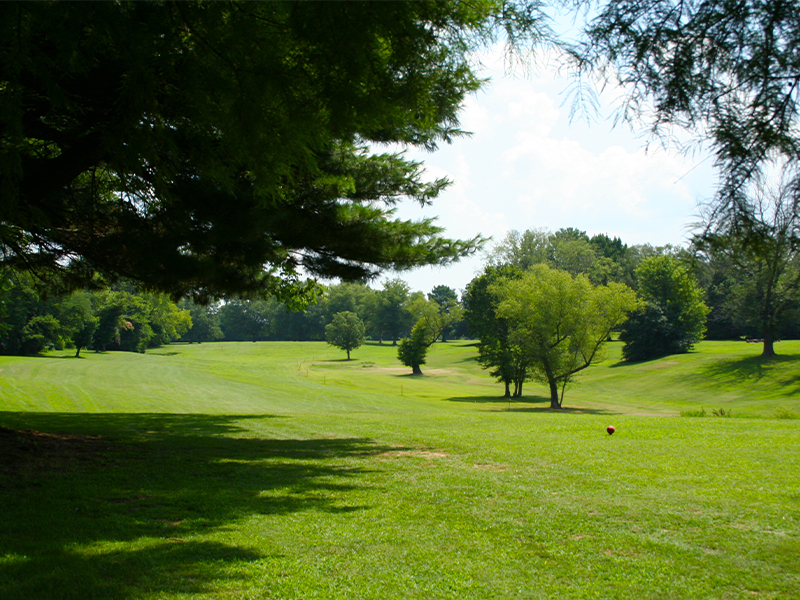 Elmwood Golf Club