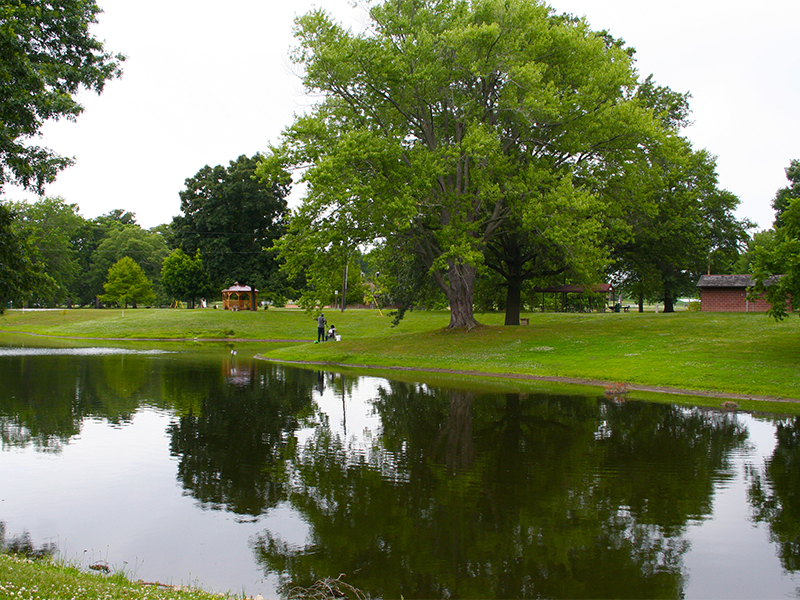 Horner Park