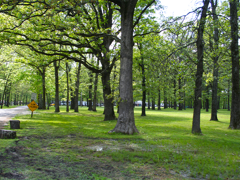 Lake Camp-A-Lot