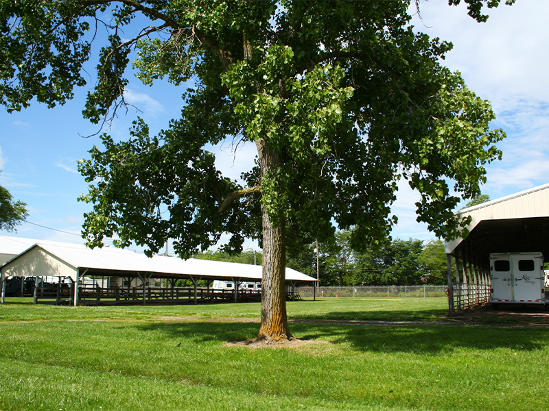 Marion County Fairgrounds