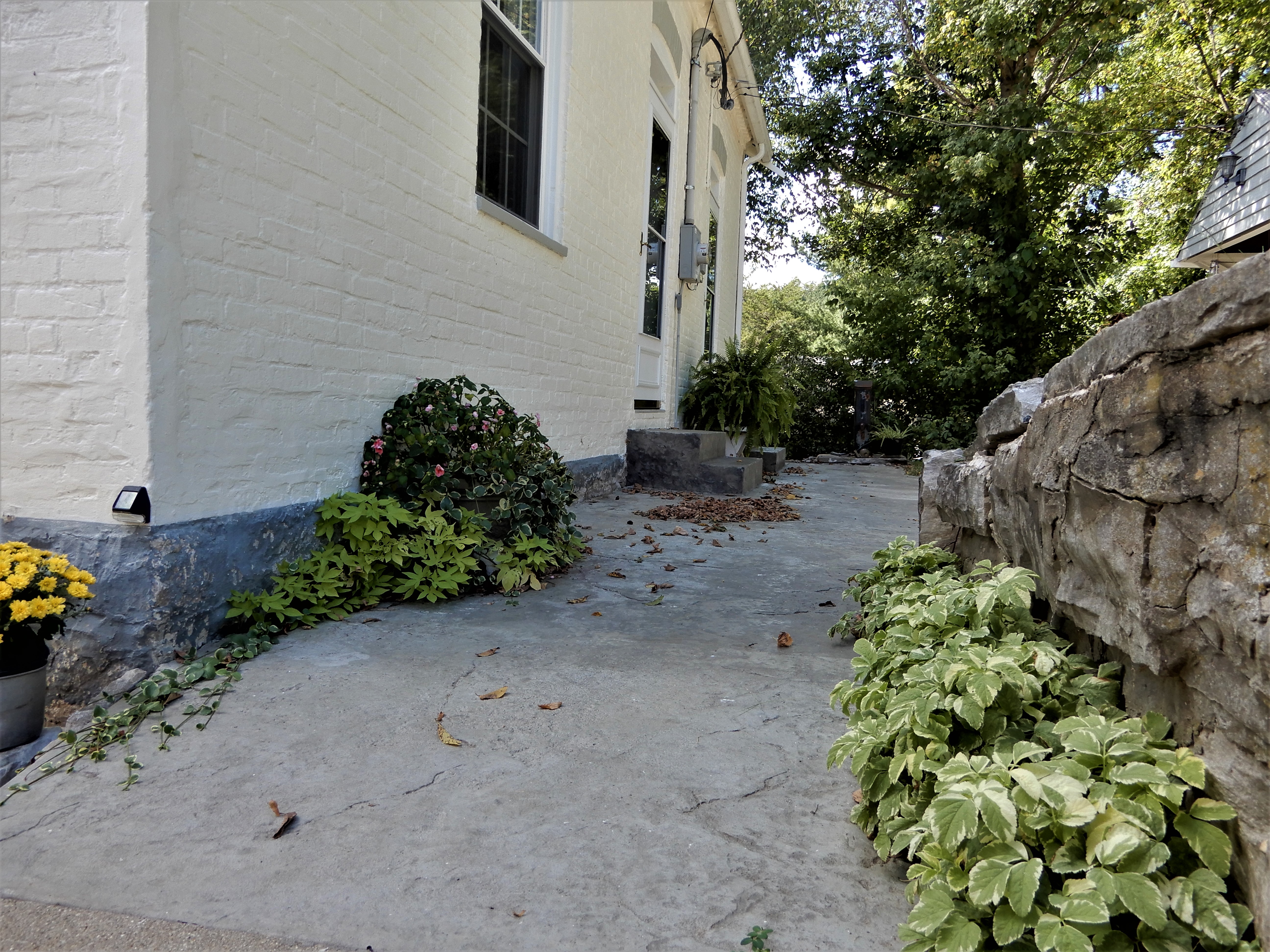 Peter Ray House