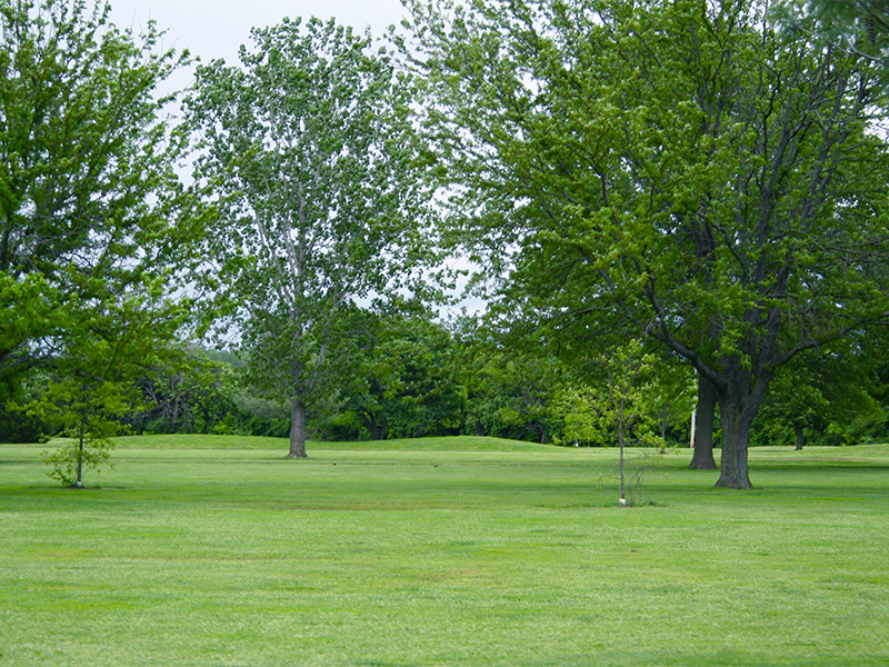 River Lakes Golf Course