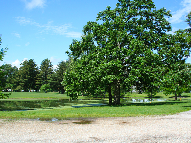 Salem Country Club