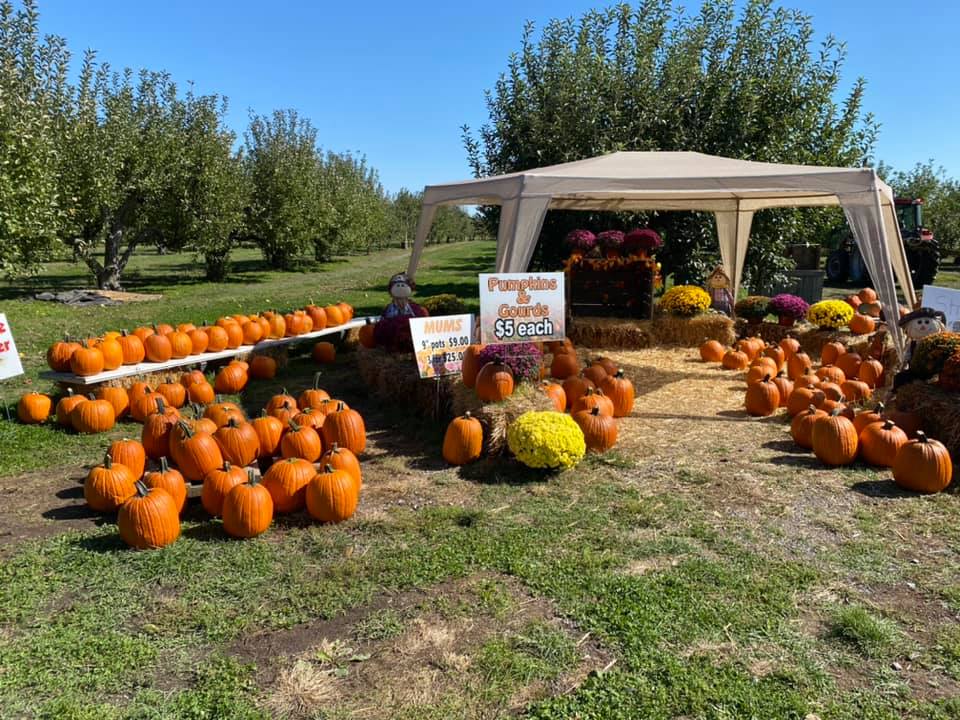 Taphorn Orchard