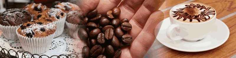 Latte Dough Coffee Shop