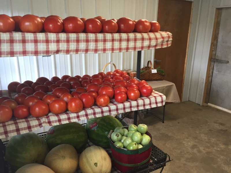 Lily Lane Farms