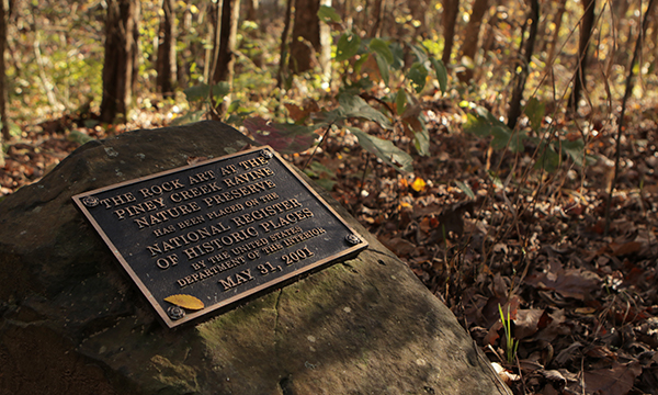 Piney Creek Ravine Nature Preserve