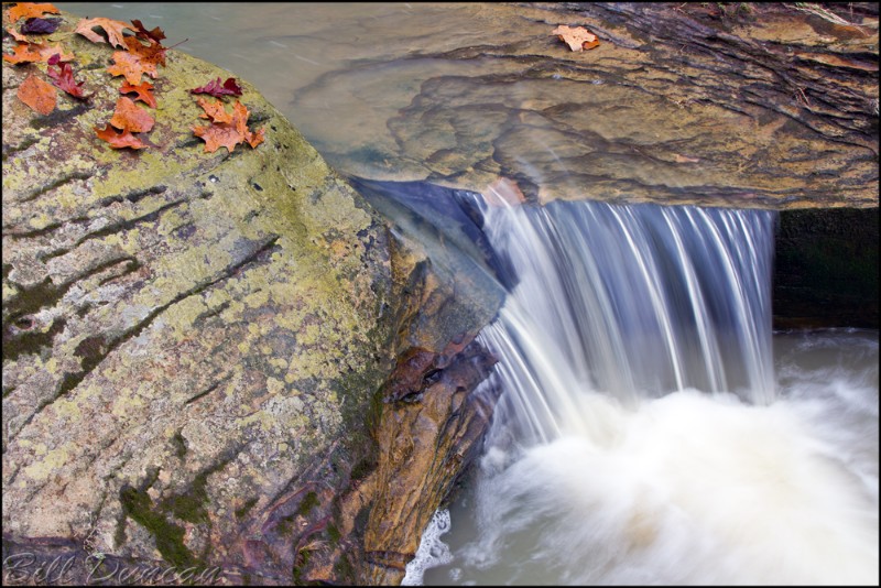 Piney Creek Ravine Nature Preserve