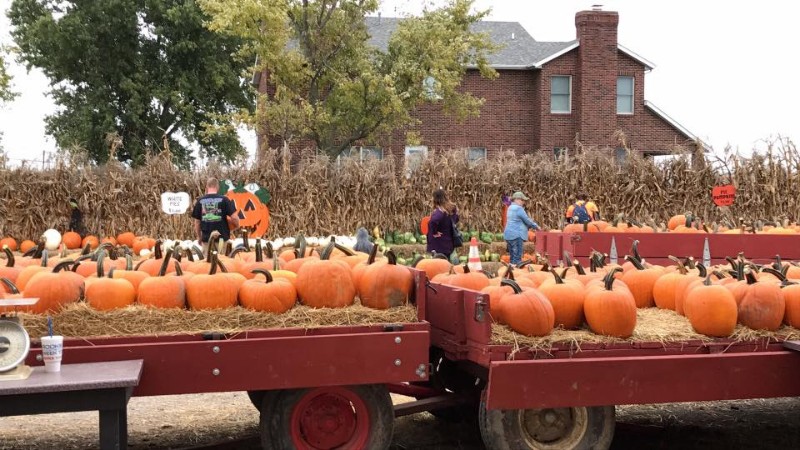 Relleke Farms