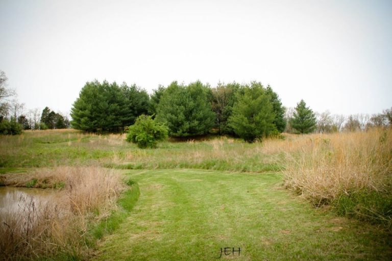 Rogers-Dewitt Park