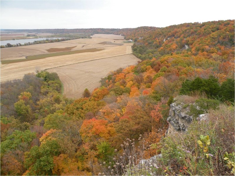 Salt Lick Point Land and Water Reserve