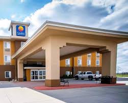 Comfort Inn & Suites - Greenville