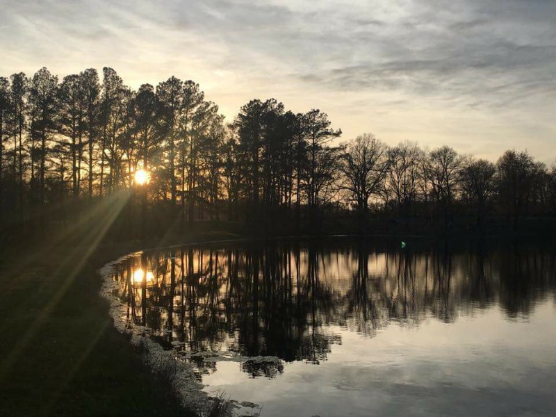 Conservation Lake