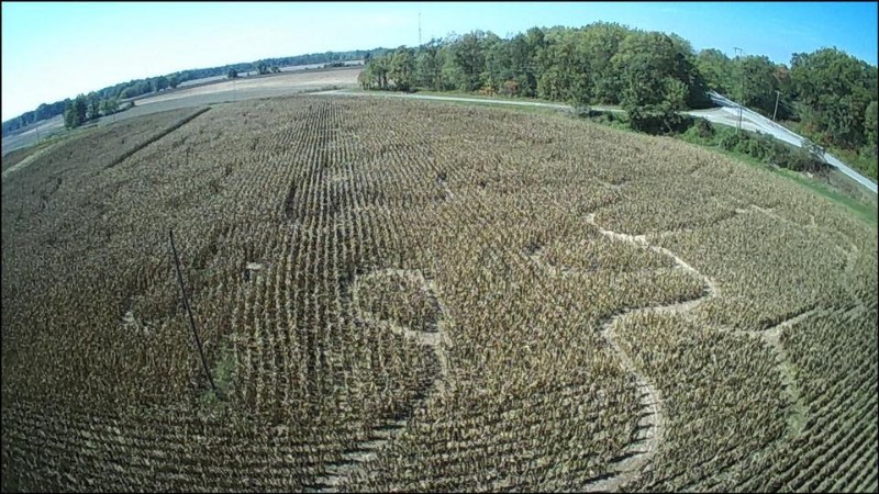 Dorney's Pumpkin Patch