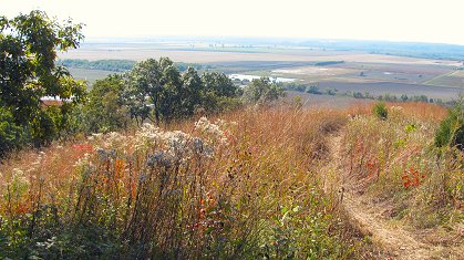 Fults Hill Prairie Natural Preserve