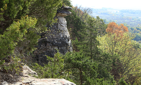 Fults Hill Prairie Natural Preserve