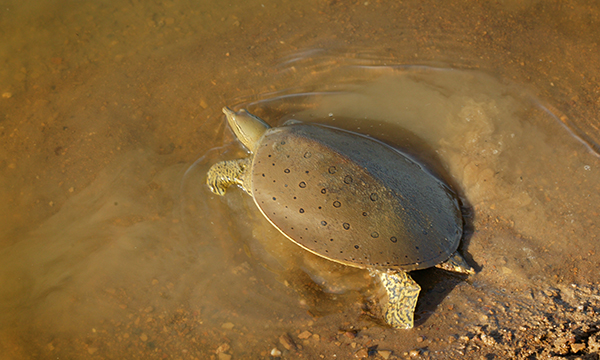 Hamilton County State Fish and Wildlife Area