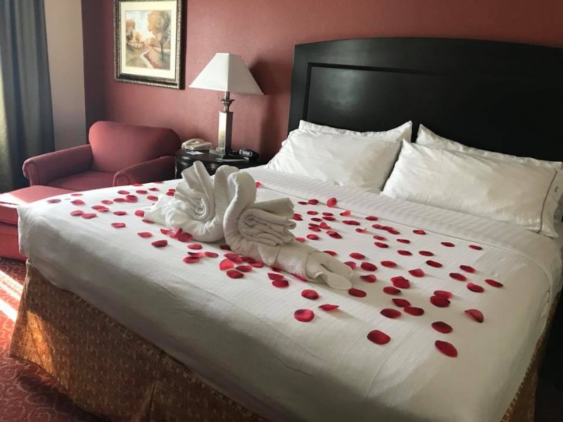 Holiday Inn Express Hotel & Suites - Vandalia
