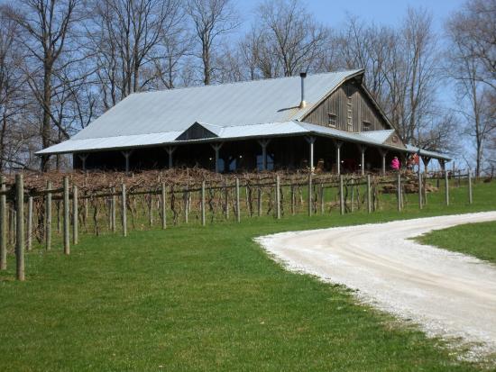 Cameo Vineyards