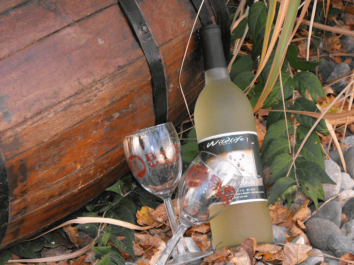 Wine & Art Festival