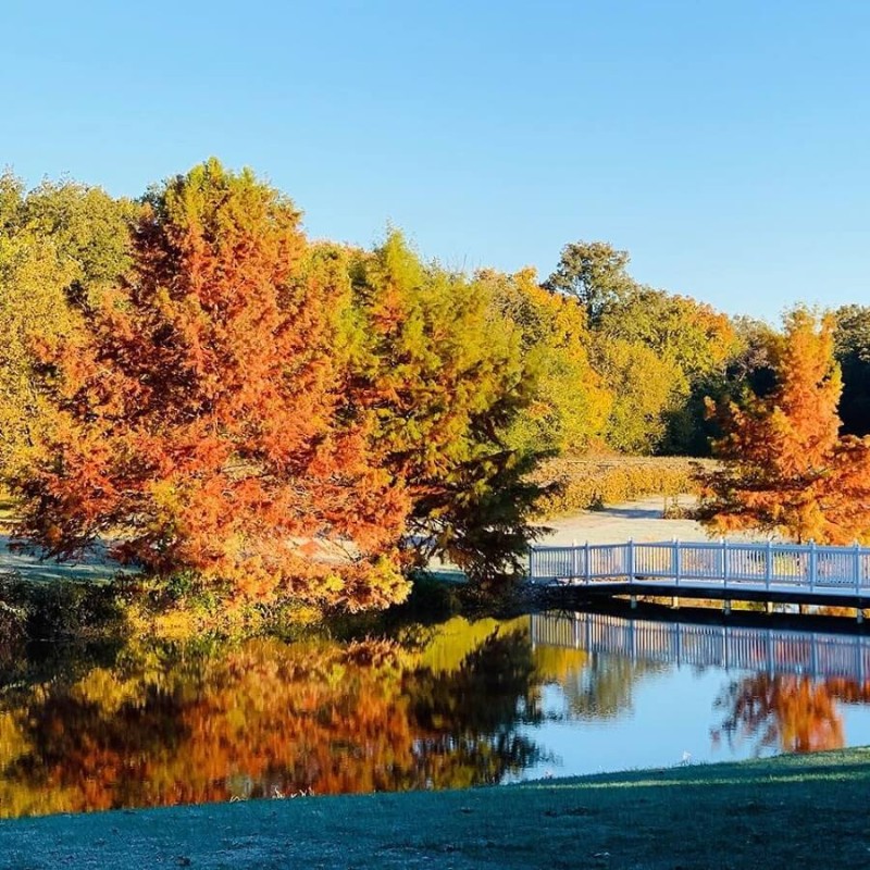 Twelve Oaks Vineyard