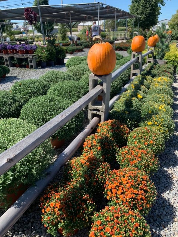 Green Acres Nursery