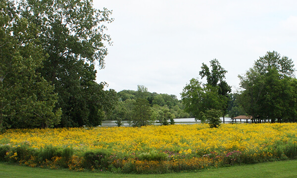 Beall Woods State Park