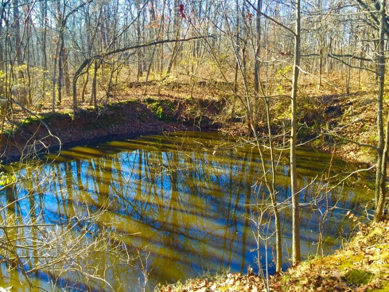 Stemler Cave Woods Nature Preserve