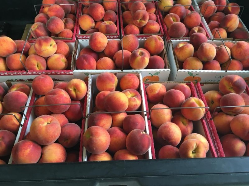 Taphorn Orchard